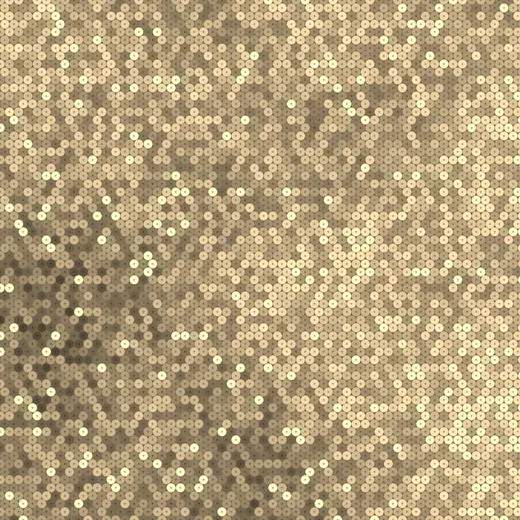 Champagne sequin pillowcase photo booth backdrop design