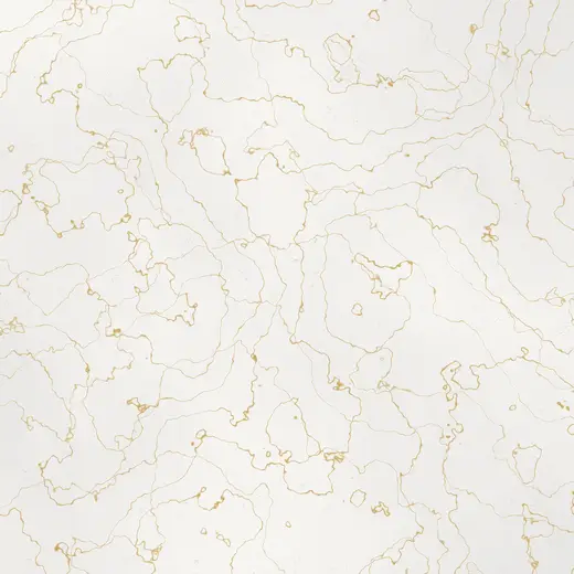 Gold marble pillowcase backdrop on an 8x8 ft photo booth frame